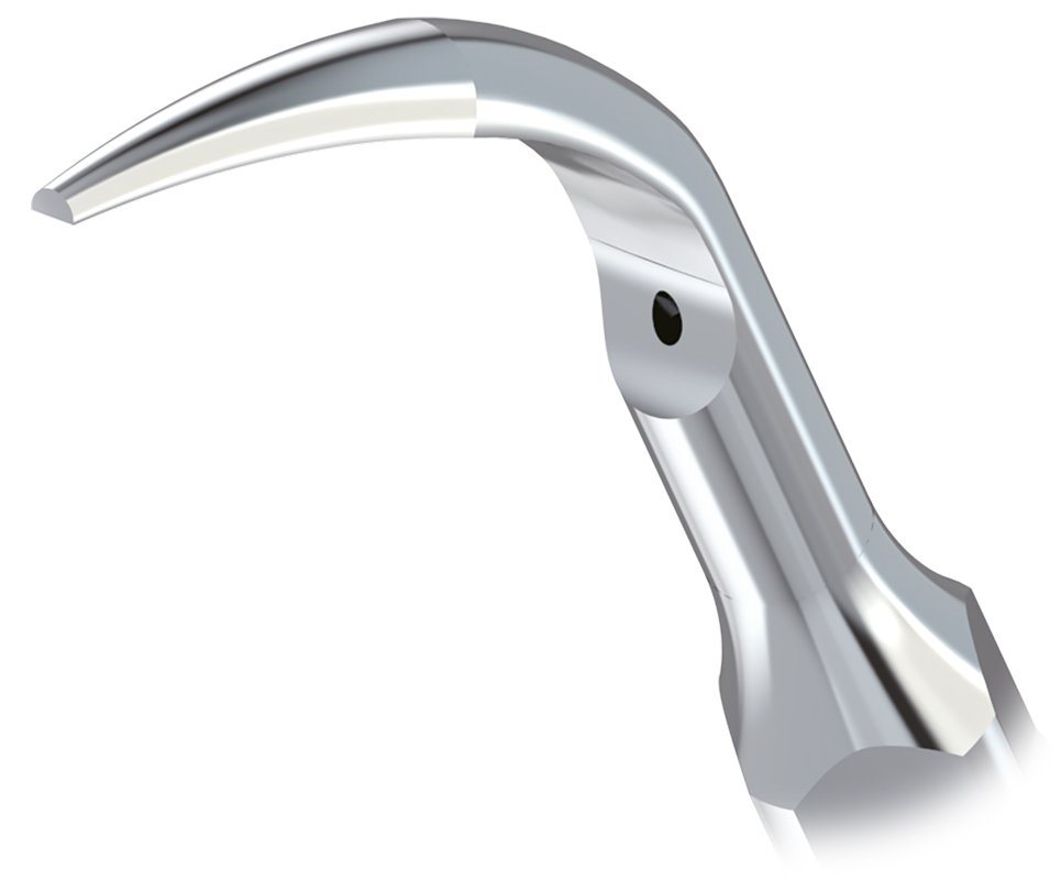 G1 Zahnsteinentfernung - supragingival in allen Quadranten - Image 3